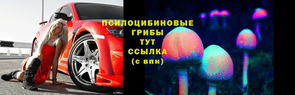 дурь Белоозёрский