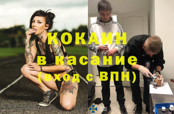 крисы Беломорск