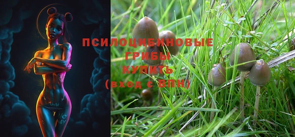 дурь Белоозёрский