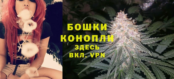 дурь Белоозёрский
