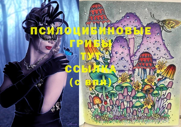 дурь Белоозёрский