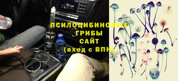 крисы Беломорск